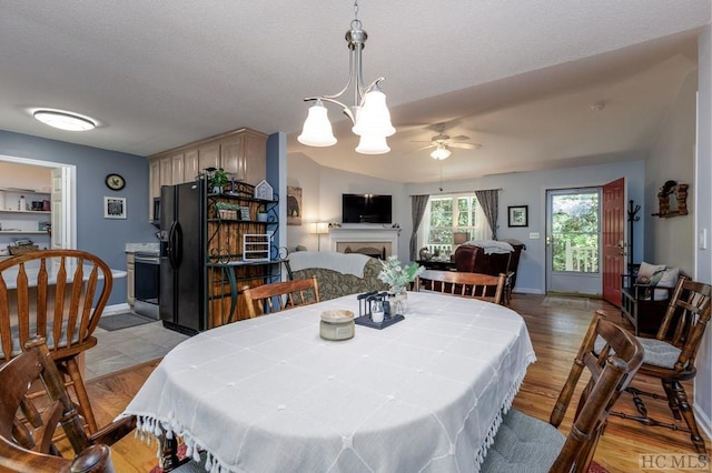 dining area with lofted ceiling, light hardwood / wood-style flooring, and ceiling fan