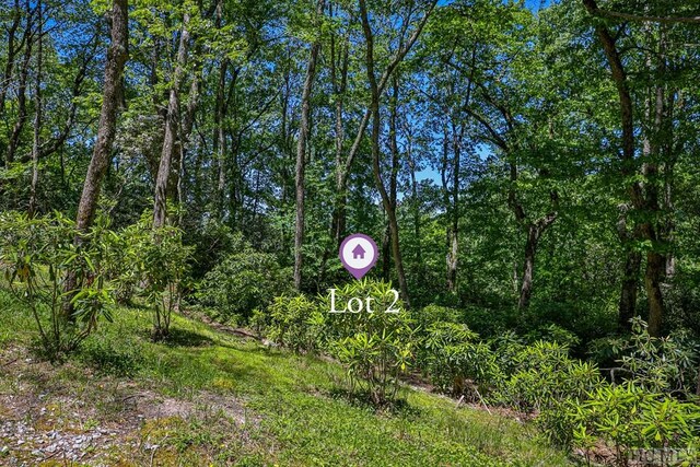 LOT2 Big Bear Pen Rd, Highlands, NC 28741