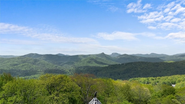 mountain view