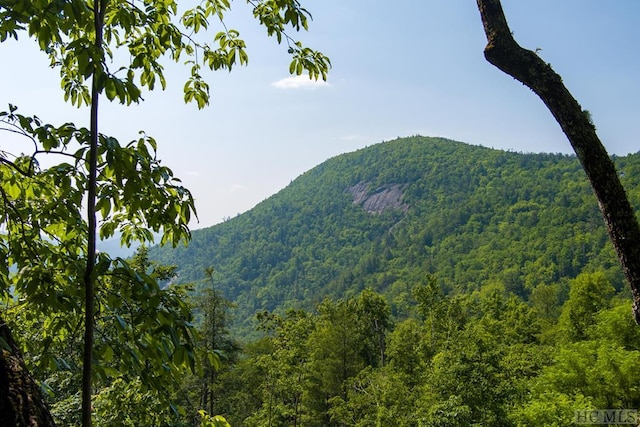 view of mountain feature