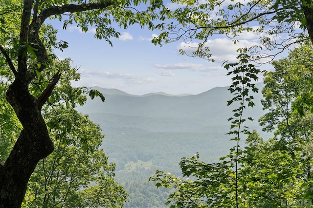 view of mountain feature