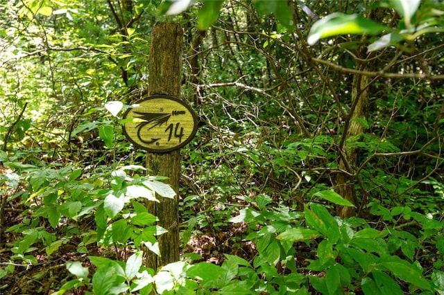 LOT14 Streamside Dr, Cashiers, NC 28717 - photo 3