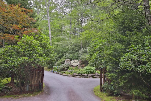 LOT14 Streamside Dr, Cashiers, NC 28717 - photo 11