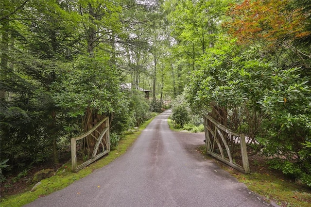 LOT14 Streamside Dr, Cashiers, NC 28717 - photo 12