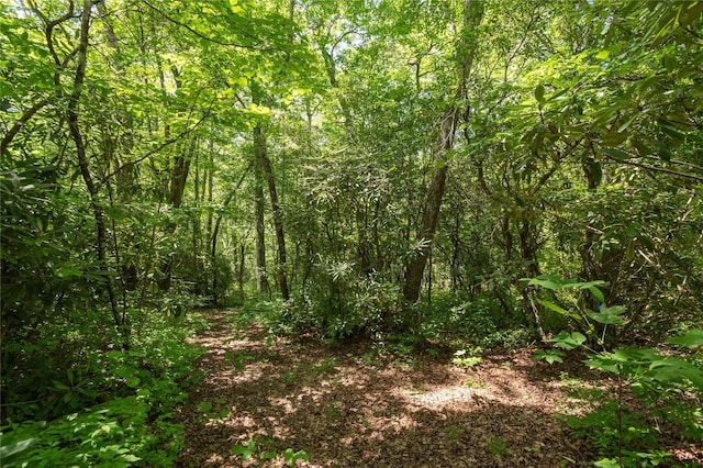 LOT14 Streamside Dr, Cashiers, NC 28717 - photo 4