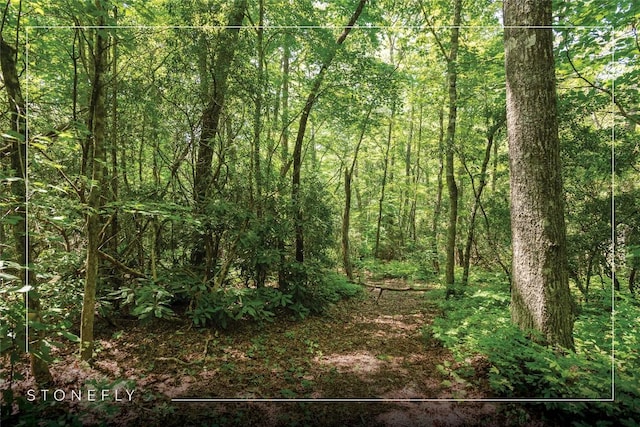 LOT14 Streamside Dr, Cashiers, NC 28717 - photo 1