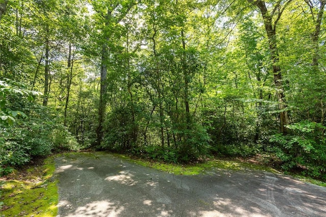 LOT14 Streamside Dr, Cashiers, NC 28717 - photo 7