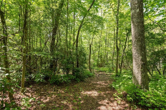 LOT14 Streamside Dr, Cashiers, NC 28717 - photo 5