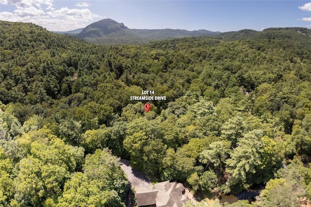LOT14 Streamside Dr, Cashiers, NC 28717 - photo 9