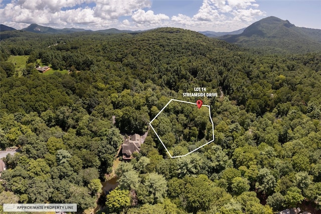 LOT14 Streamside Dr, Cashiers, NC 28717 - photo 8