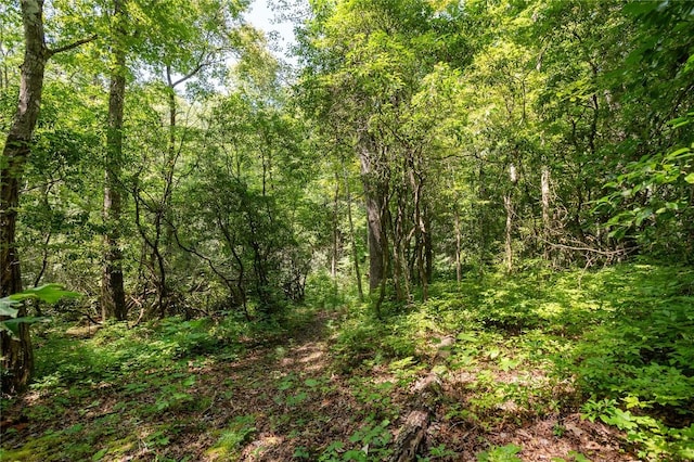 LOT14 Streamside Dr, Cashiers, NC 28717 - photo 6