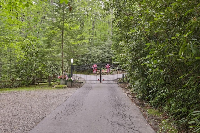 LOT14 Streamside Dr, Cashiers, NC 28717 - photo 16