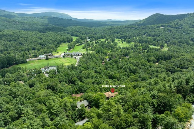 aerial view featuring a mountain view