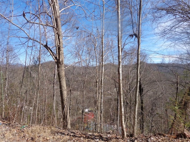 148 Plainview Rdg, Sylva NC, 28779 land for sale