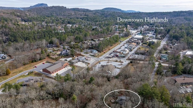 aerial view featuring a mountain view