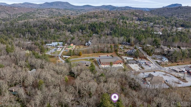 aerial view with a mountain view