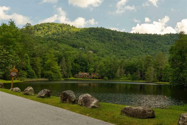 369 Meadow Way Unit 1713, Sapphire, NC 28774 - water view with a heavily wooded area