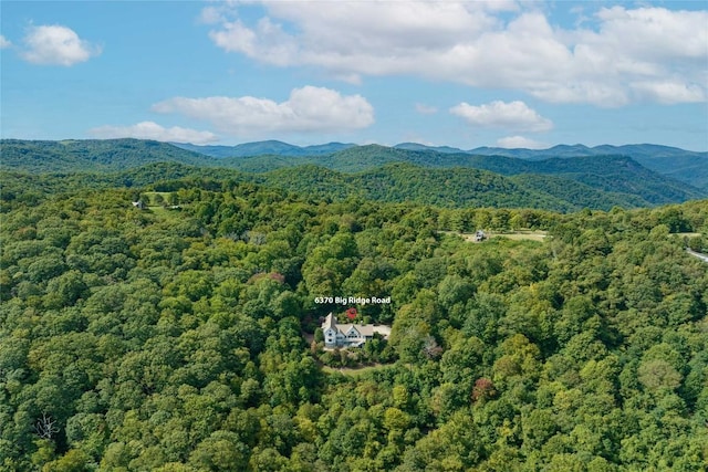 6370 Big Ridge Rd, Glenville, NC 28736 - photo 10