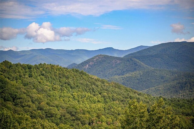 6370 Big Ridge Rd, Glenville, NC 28736 - photo 12
