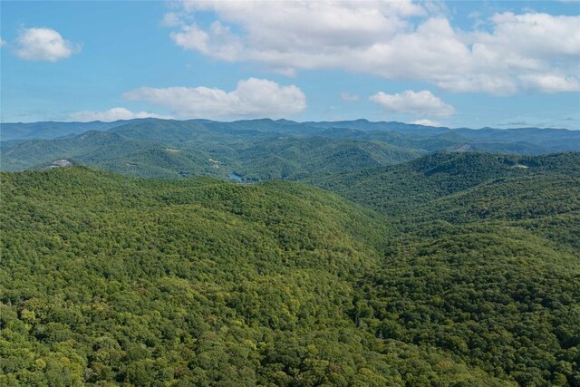 6370 Big Ridge Rd, Glenville, NC 28736 - photo 11
