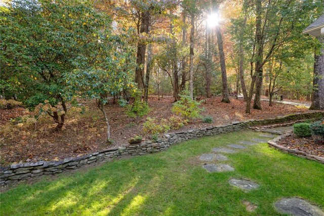 217 Crestwood Rd, Cashiers, NC 28717 - photo 76