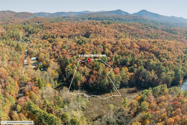 217 Crestwood Rd, Cashiers, NC 28717 - photo 87