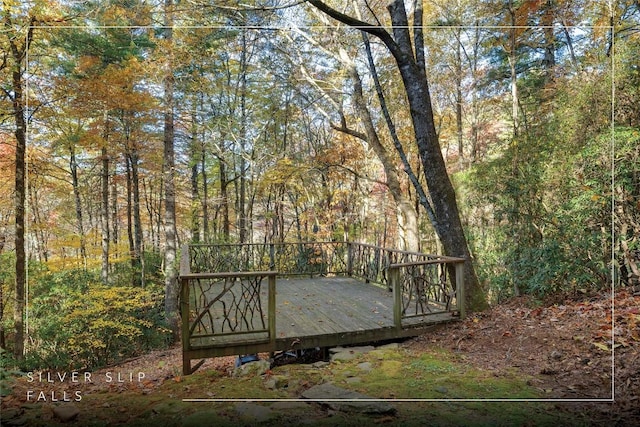 217 Crestwood Rd, Cashiers, NC 28717 - photo 5