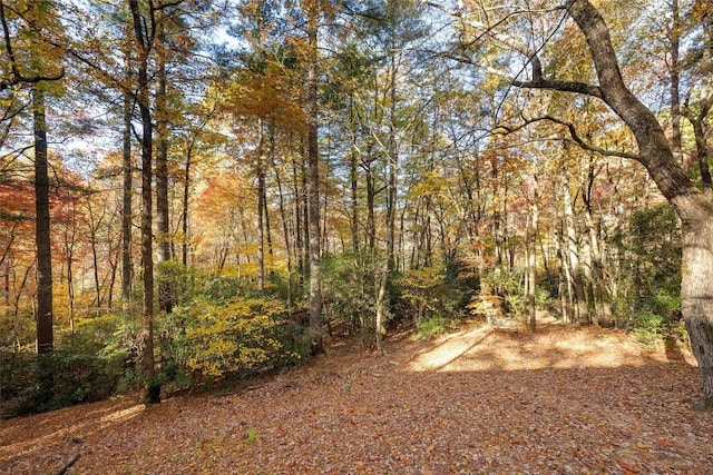 217 Crestwood Rd, Cashiers, NC 28717 - photo 81