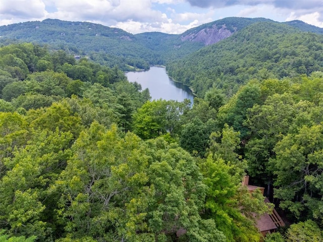 122 Emerald Ridge Rd Unit 45, Sapphire, NC 28774 - photo 45