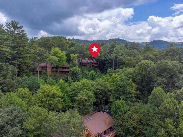 122 Emerald Ridge Rd Unit 45, Sapphire, NC 28774 - photo 42