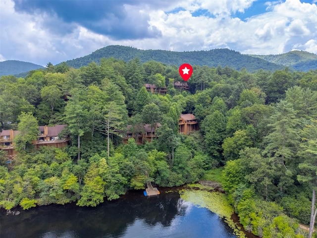 122 Emerald Ridge Rd Unit 45, Sapphire, NC 28774 - photo 43