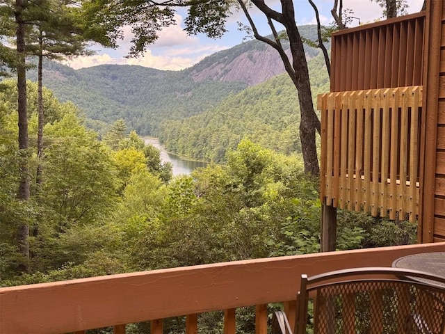 122 Emerald Ridge Rd Unit 45, Sapphire, NC 28774 - photo 30