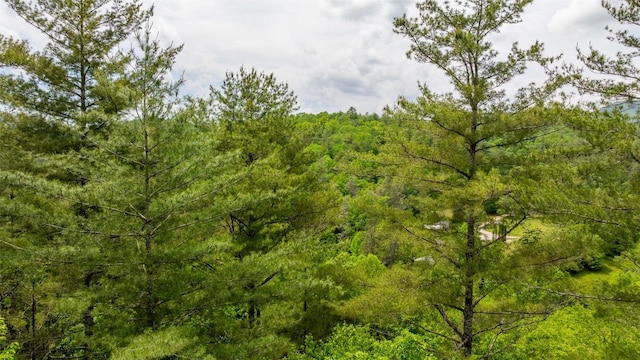 LOT3 Carriage Ln, Highlands, NC 28741