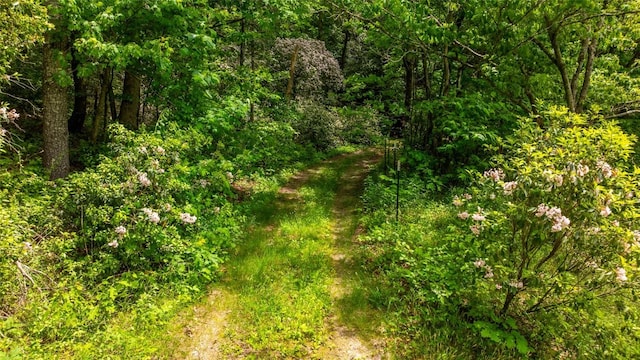 LOT3 Carriage Ln, Highlands, NC 28741
