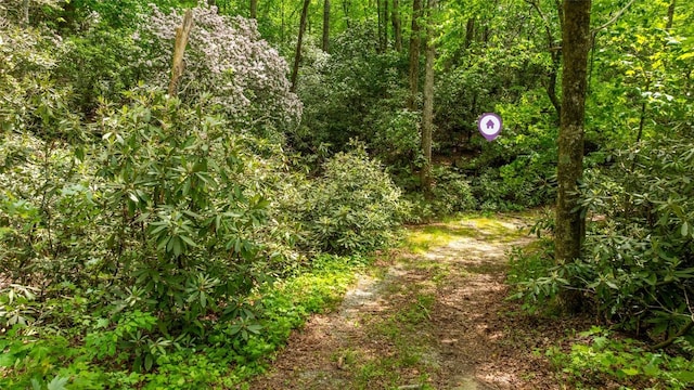 LOT3 Carriage Ln, Highlands, NC 28741