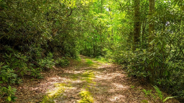 LOT3 Carriage Ln, Highlands, NC 28741