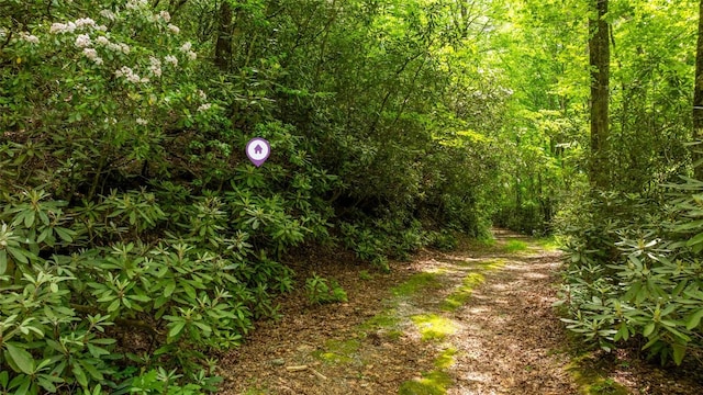 LOT3 Carriage Ln, Highlands, NC 28741