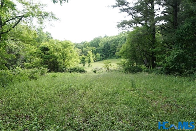 Listing photo 2 for TBD Jack Wilcox Rd, Highlands NC 28741