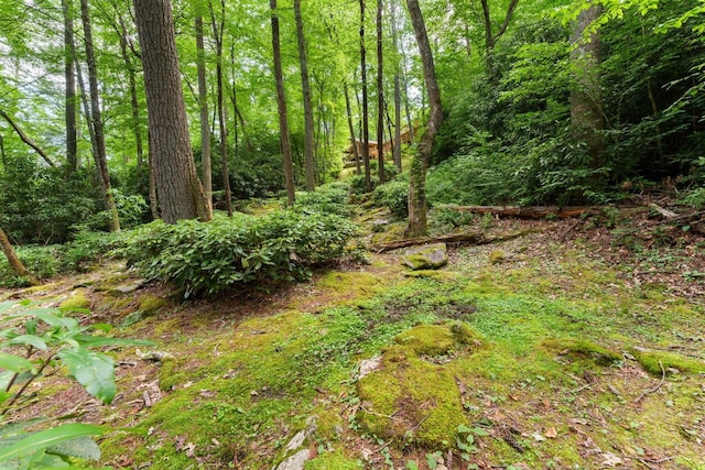 293 Gem Creek Rd, Cullowhee, NC 28723 - view of woods