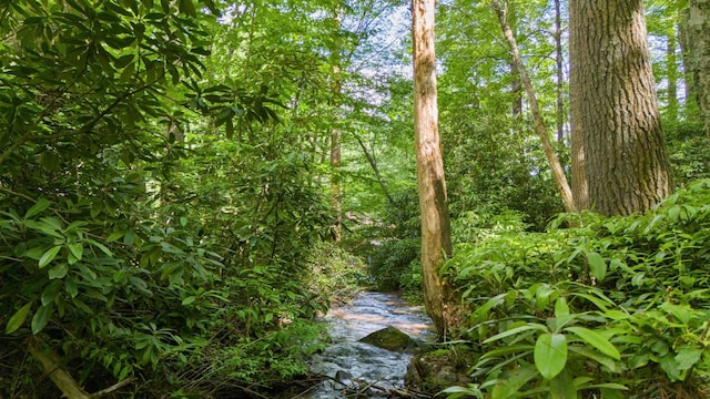 293 Gem Creek Rd, Cullowhee, NC 28723 - view of nature