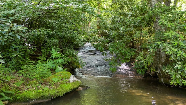293 Gem Creek Rd, Cullowhee, NC 28723 - water view