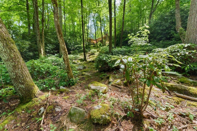 293 Gem Creek Rd, Cullowhee, NC 28723 - view of tree filled area