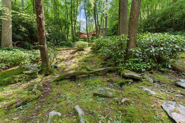 293 Gem Creek Rd, Cullowhee, NC 28723 - view of wooded area
