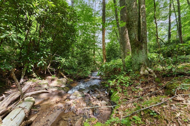 293 Gem Creek Rd, Cullowhee, NC 28723 - view of undeveloped land