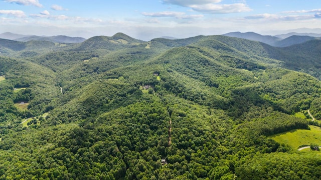 293 Gem Creek Rd, Cullowhee, NC 28723 - view of mountain background with a forest