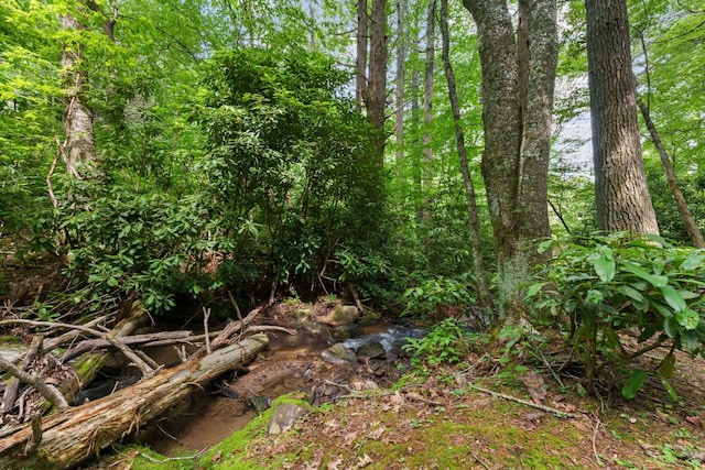 293 Gem Creek Rd, Cullowhee, NC 28723 - view of tree filled area