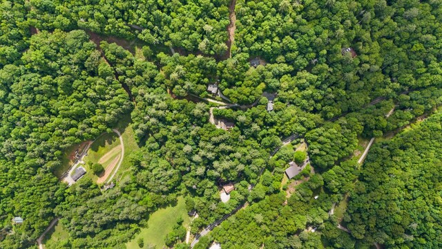 293 Gem Creek Rd, Cullowhee, NC 28723 - aerial view of property's location