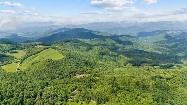 293 Gem Creek Rd, Cullowhee, NC 28723 - view of mountain backdrop featuring a heavily wooded area