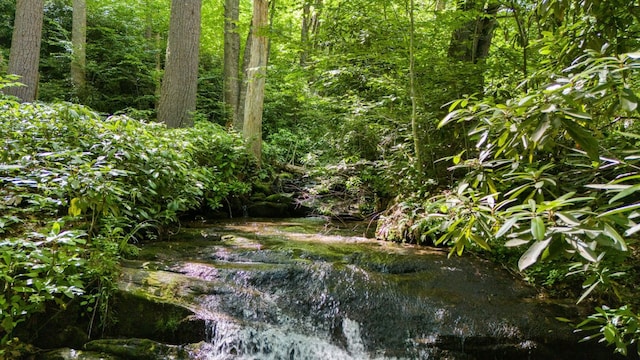 293 Gem Creek Rd, Cullowhee, NC 28723 - view of undeveloped land