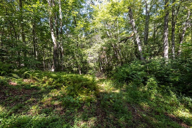 0 S Cliff Rd, Cullowhee, NC 28723